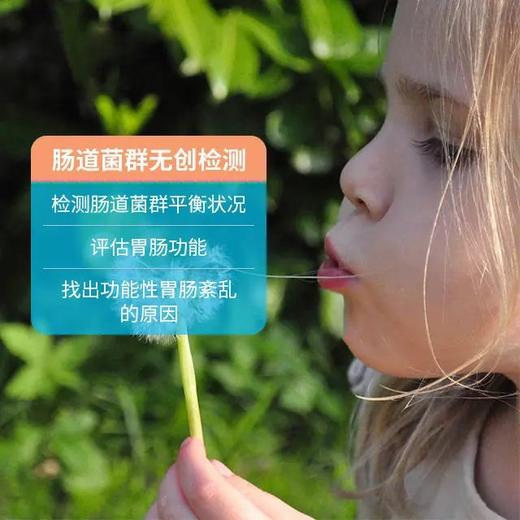 【SIBO吹气检测】 小肠细菌过度生长SIBO(乳果糖)检测 电子报告 4个气袋数据收集 无需去医院在家吹气采集 商品图0