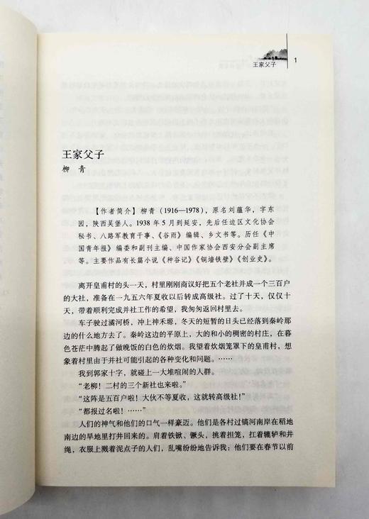 《陕西文学六十年作品选》，全20册 商品图6
