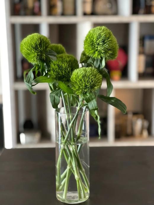 绿毛球【希望你永远迷人，富有生命力】简小姐精选新品 绿毛球9+1枝（防花损） 中通包邮 下单后48小时内发货 商品图1