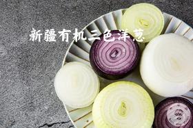 新疆有机三色洋葱5斤包邮