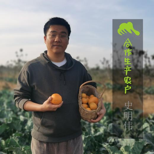 生态蜜桔 | 合作生产* Eco-tangerine | Coproducted 商品图0