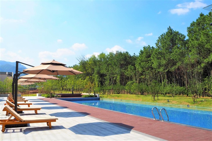 室外泳池森林景观.jpg
