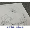 【有步骤、大彩图】李晓明工笔画白描稿圆形小品《紫荆裳凤蝶》蝴蝶初学者临摹勾线花鸟线稿KB07 商品缩略图4