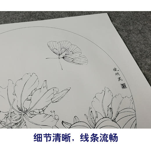 【有步骤、大彩图】李晓明工笔画白描稿圆形小品《紫荆裳凤蝶》蝴蝶初学者临摹勾线花鸟线稿KB07 商品图4