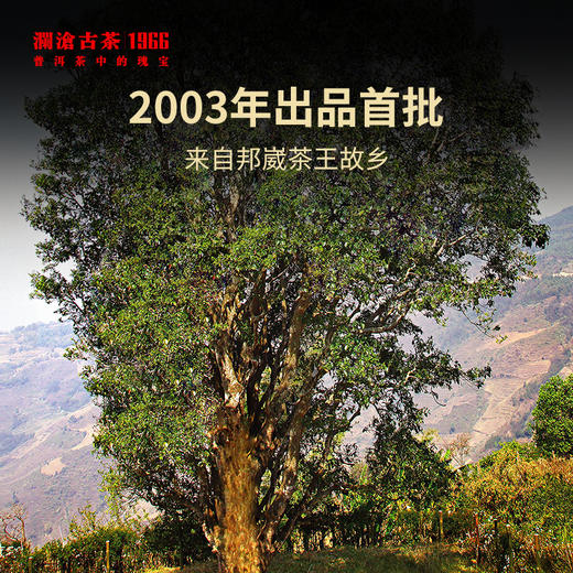 澜沧古茶2021年邦崴红印青饼时光仓普洱茶生茶云南茶叶盒装385g 商品图3