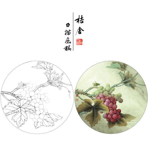 【有步骤、大彩图】李晓明工笔白描底稿圆形小品《葡萄草虫》蝈蝈初学者临摹花鸟线稿KB35 商品图0