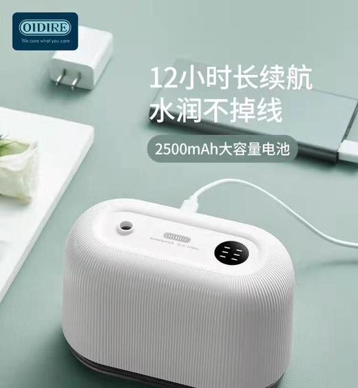 德国OIDIRE空气加湿器 商品图3