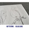 【有步骤、大彩图】李晓明工笔画白描底稿圆形小品《临宋枯树八哥图》初学者临摹花鸟线稿KC03 商品缩略图4