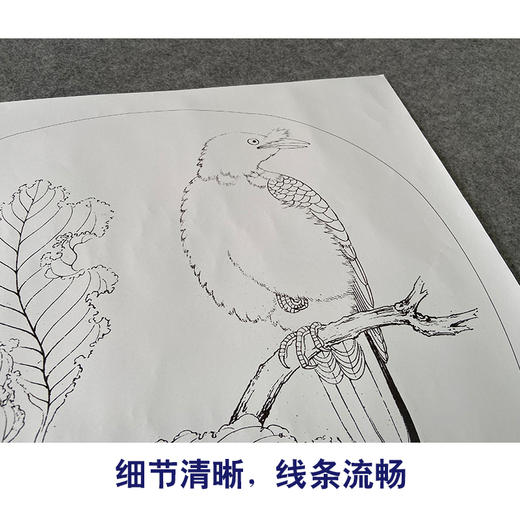 【有步骤、大彩图】李晓明工笔画白描底稿圆形小品《临宋枯树八哥图》初学者临摹花鸟线稿KC03 商品图4
