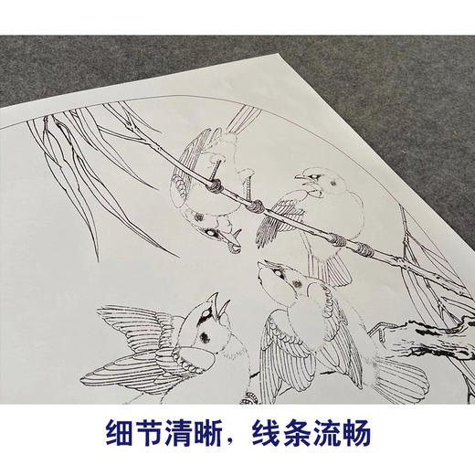 【有步骤、大彩图】李晓明工笔画白描底稿圆形小品《临宋杨柳乳雀图》柳叶雀鸟初学者临摹花鸟线稿KC12 商品图4
