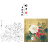 【有步骤、大彩图】李晓明工笔画白描底稿斗方小品《双色芙蓉图》临摹勾线花鸟线稿KB23 商品缩略图0