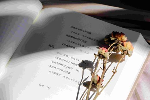 部分诗学与普通读者(精)/启真文史丛刊/许志强/浙江大学出版社 商品图5