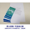 【有步骤、大彩图李晓明工笔画白描底稿《郁金香写真图》 初学者临摹花鸟线稿KB15 商品缩略图1