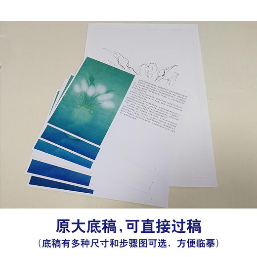 【有步骤、大彩图李晓明工笔画白描底稿《郁金香写真图》 初学者临摹花鸟线稿KB15 商品图1