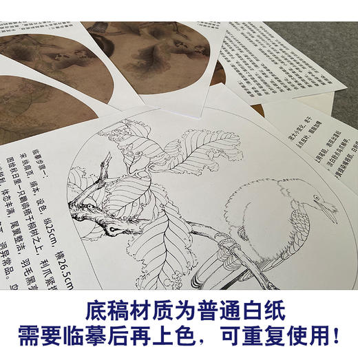【有步骤、大彩图】李晓明工笔画白描底稿圆形小品《临宋枯树八哥图》初学者临摹花鸟线稿KC03 商品图3