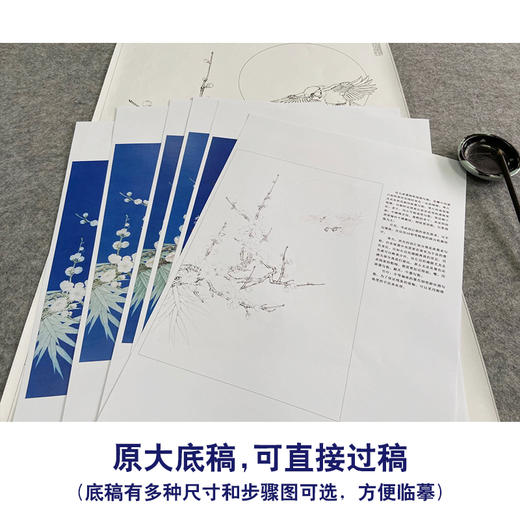 【有步骤、大彩图】李晓明工笔画白描稿《暗香浮动步》梅花雀鸟初学者高清打印稿KB18 商品图1