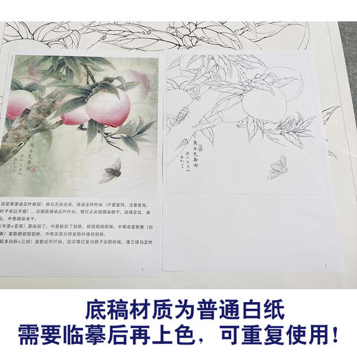 【有步骤、大彩图】李晓明工笔画白描底稿斗方小品《万年芝寿图》寿桃临摹勾线花鸟线稿KB22 商品图3