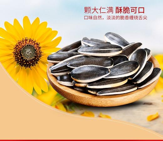 老炒坊原味葵花籽5包【 100g*5 原味】 商品图4