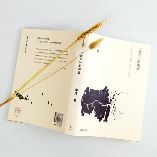 "灵光"的消失 当代文学叙事美学的嬗变 商品图4