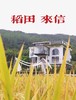【乡村团建体验】独乐乐不如众乐乐，2天1夜乡村团建体验套餐 商品缩略图2