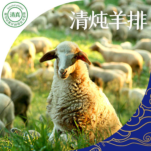 【原切羊排 肉质鲜嫩】双实清炖羊排罐头 500g 清真熟食 呼伦贝尔特产 草原散养羔羊 延续传统老味道 商品图2