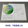 【有步骤、大彩图】李晓明工笔画白描稿小品《蝴蝶兰写真图》蝴蝶兰花临摹勾线花鸟线稿KB01 商品缩略图2
