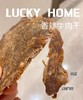 幸运小筑 | 香辣牛肉干 160g 商品缩略图2