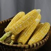 云南高原水果玉米   5/8斤 商品缩略图11
