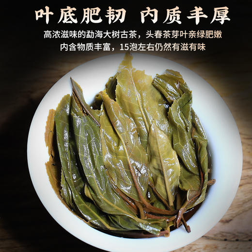 吉顺号勐海生茶七子饼357g/饼 商品图5