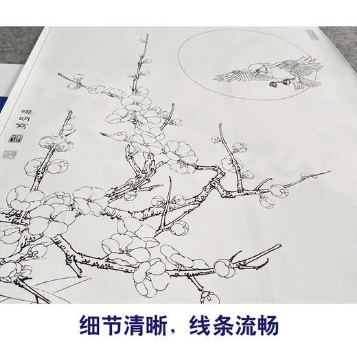 【有步骤、大彩图】李晓明工笔画白描稿《暗香浮动步》梅花雀鸟初学者高清打印稿KB18 商品图4