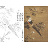 【有步骤、大彩图】李晓明工笔画白描底稿《临宋芙蓉锦鸡图》锦鸡蝴蝶初学者临摹花鸟线稿KC22 商品缩略图0
