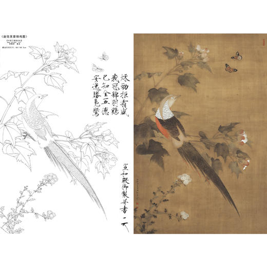 【有步骤、大彩图】李晓明工笔画白描底稿《临宋芙蓉锦鸡图》锦鸡蝴蝶初学者临摹花鸟线稿KC22 商品图0