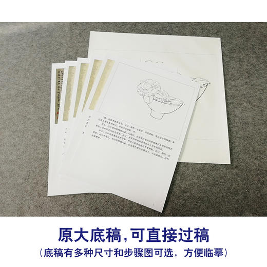 【有步骤、大彩图】李晓明工笔画白描底稿斗方小品《茶花写生图》初学者临摹勾线花鸟线稿KB11 商品图1
