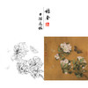 【有步骤、大彩图】李晓明工笔画白描底稿斗方小品《临宋海棠蛱蝶图》蝴蝶初学者临摹花鸟线稿KC13 商品缩略图0