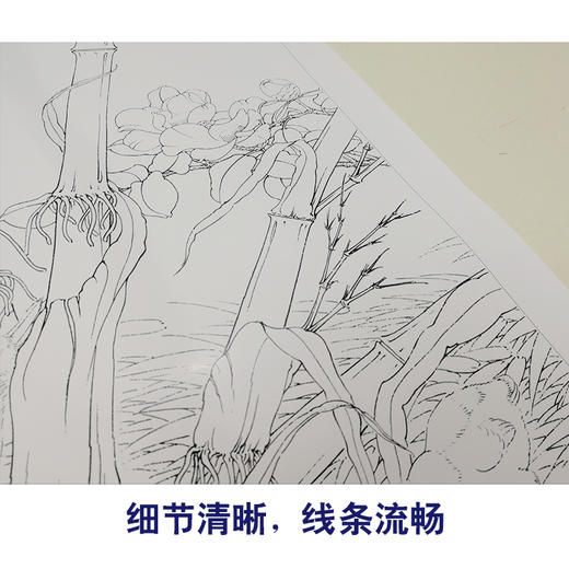【有步骤、大彩图】李晓明工笔白描底稿斗方《竹林冬景》大鹅临摹勾线花鸟线稿KB32 商品图4