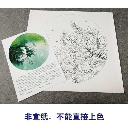 【有步骤、大彩图】李晓明工笔画白描底稿小品《新雨后》紫藤花临摹勾线花鸟线稿KB04 商品图2