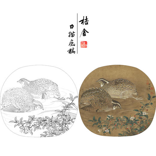 【有步骤、大彩图】李晓明工笔画白描底稿小品《临宋野卉秋鹑图》鹌鹑初学者临摹花鸟线稿KC09 商品图0