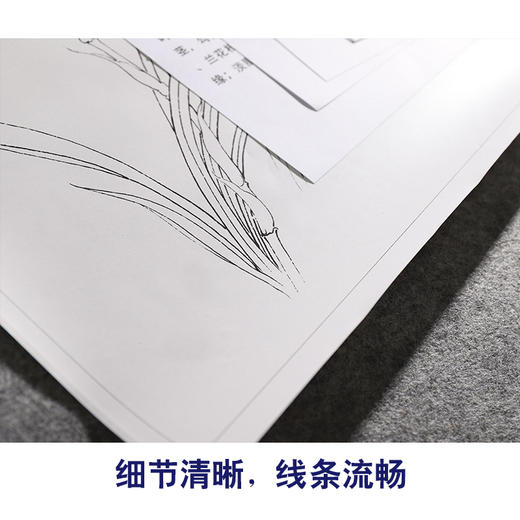 【有步骤、大彩图】李晓明工笔画白描底稿斗方小品《兰花图》初学者高清打印稿KB20 商品图4