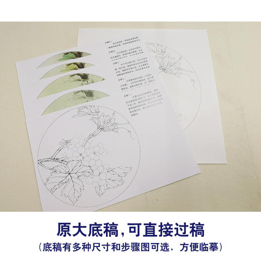 【有步骤、大彩图】李晓明工笔白描底稿圆形小品《葡萄草虫》蝈蝈初学者临摹花鸟线稿KB35 商品图1