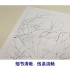 【有步骤、大彩图】李晓明工笔画白描底稿小品《粉荷清幽》荷花临摹勾线花鸟线稿KB19 商品缩略图4