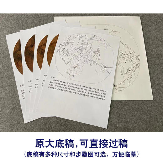 【有步骤、大彩图】李晓明工笔画白描底稿圆形小品《临宋葡萄草虫图》葡萄蜻蜓临摹勾线花鸟线稿KC11 商品图1