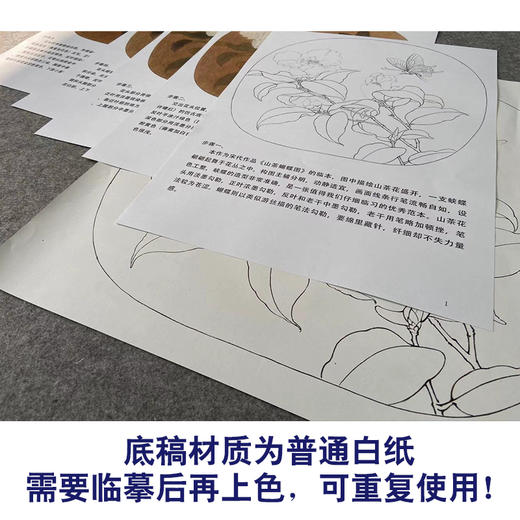 【有步骤、大彩图】李晓明工笔画白描底稿圆形小品《茶花蝴蝶图》初学者临摹花鸟线稿KC01 商品图3