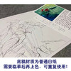 【有步骤、大彩图】李晓明工笔画白描底稿小品《红掌写生图》初学者临摹花鸟线稿KB12 商品缩略图3