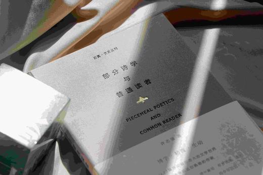 部分诗学与普通读者(精)/启真文史丛刊/许志强/浙江大学出版社 商品图1