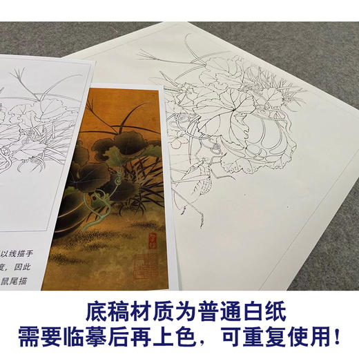 有步骤大彩图李晓明工笔画白描底稿瓜果临宋螽斯绵瓞