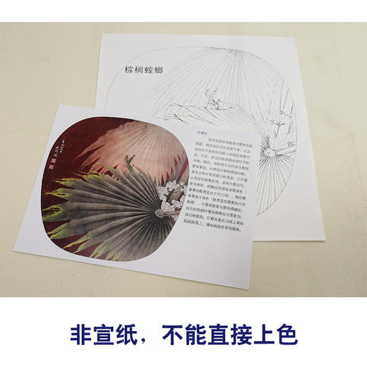 【有步骤、大彩图】李晓明工笔白描底稿小品《螳螂棕榈》初学者临摹花鸟线稿KB36 商品图2