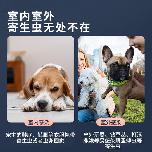 Buspet巴士宠 &非泼罗尼&滴剂3支 体外驱虫除蚤外用  和福来恩同效，蜱虫克星【5送2，10送5】 商品图5