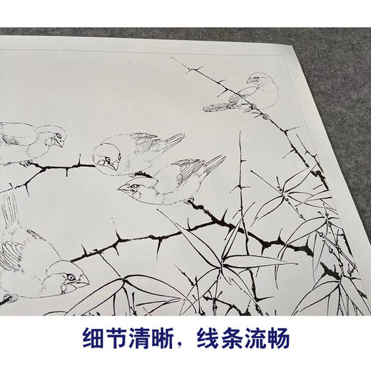 【有步骤、大彩图】李晓明工笔花鸟画白描底稿《临宋雪竹寒雏图》-斗方小品册页-KC14 商品图4