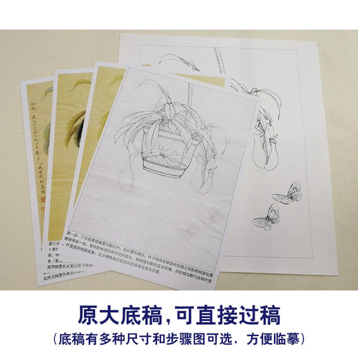 【有步骤、大彩图】李晓明工笔画白描底稿《悟宋系列和风》猪笼草初学者临摹花鸟线稿KB38 商品图1