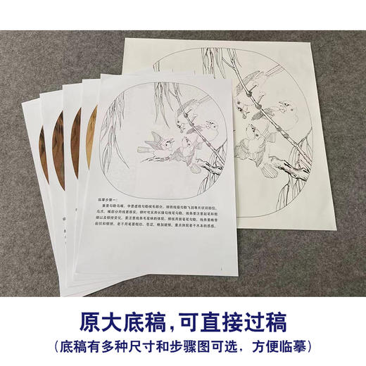 【有步骤、大彩图】李晓明工笔画白描底稿圆形小品《临宋杨柳乳雀图》柳叶雀鸟初学者临摹花鸟线稿KC12 商品图1